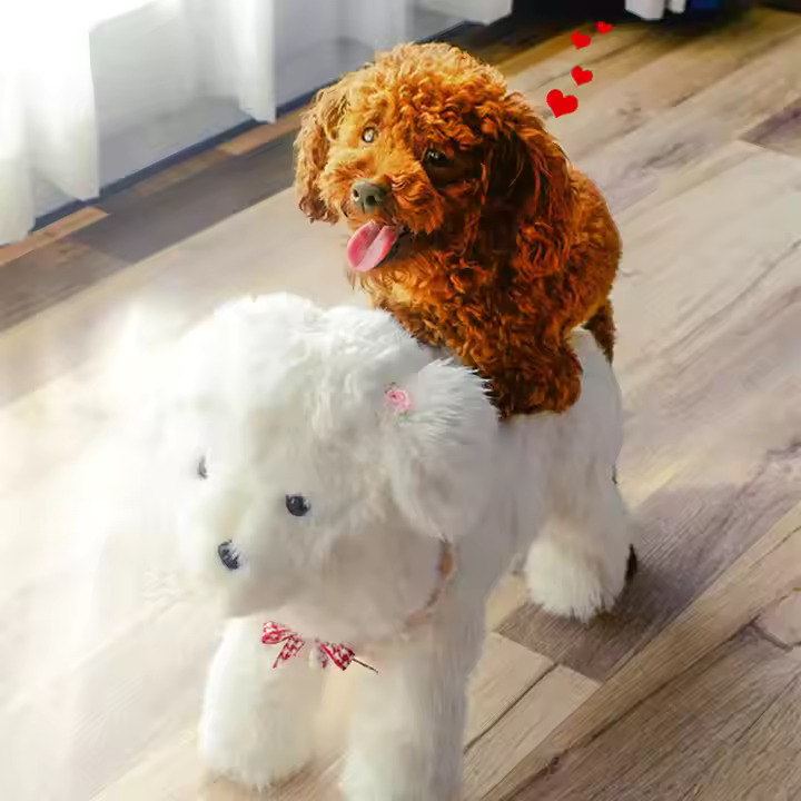 Sexpuppen für Haustiere: Hunde und Katzen